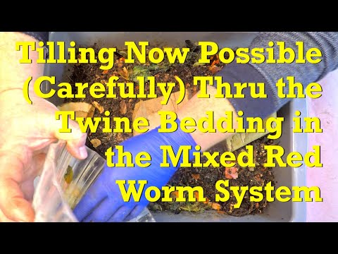 165-day bin w mixed red worms in intertwined twine bedding get 14th feeding - vermicompost