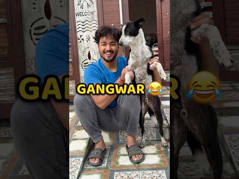 Ghar Me Gangwar Ho Gai 😱 #shorts #vlog #minivlog #dog #cat