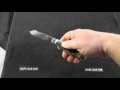 QN032104 Queen Schatt Morgan Gunstock