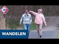 Wandelen is door corona populairder dan ooit