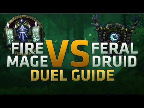 Duel Guide: How to beat Feral Druids - Mage Commentary