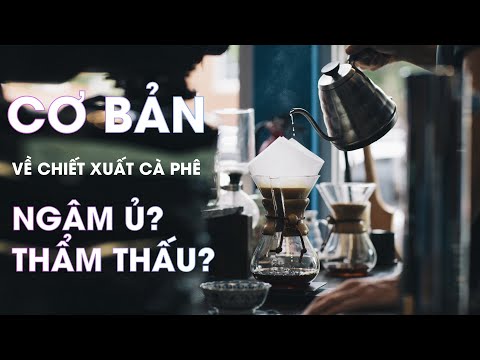 Cơ bản về chiết xuất cà phê: Ngâm ủ là gì?