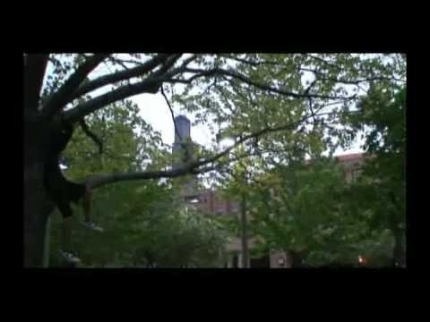 What I Learned In Highschool by Riz