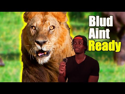 How to Survive the Impossibly Difficult Life of a Lion (ft. TierZoo)