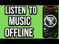 How To Play Music Offline On Spotify iPhone