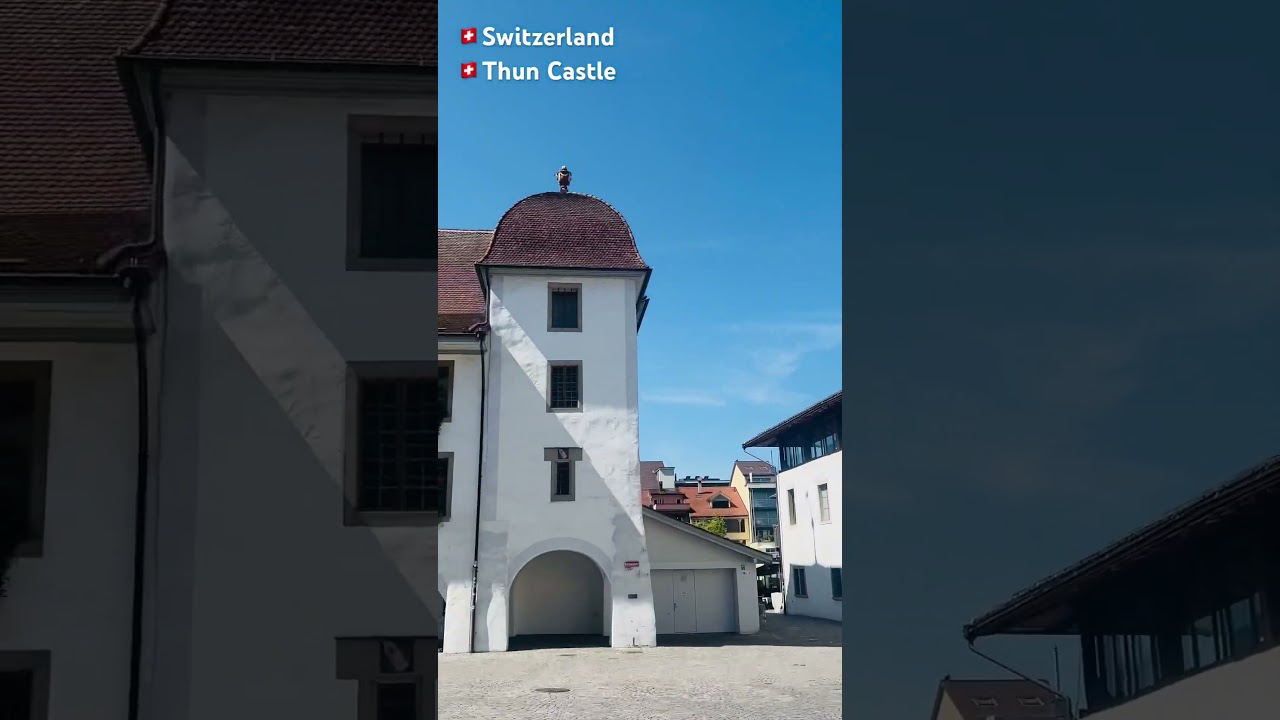 YouTube Short thumbnail