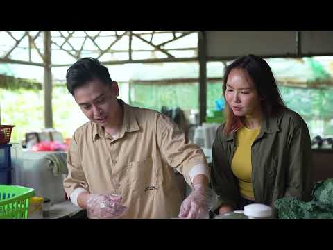 沙巴州的超級食物『羽衣甘藍』,果汁、沙拉、炒飯.....搭配完美醬料蹦出新滋味!