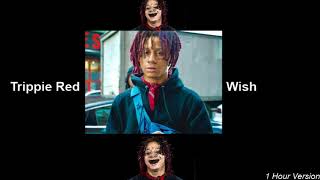 trippie redd ~ wish ﾉ slowed + reverb ﾉ 1 Hour Version