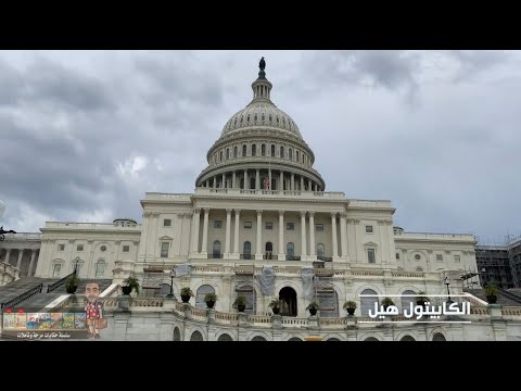صورة من الفيديو