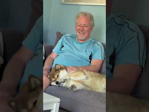 Housesit in Ann Arbor, MI watching Alisa