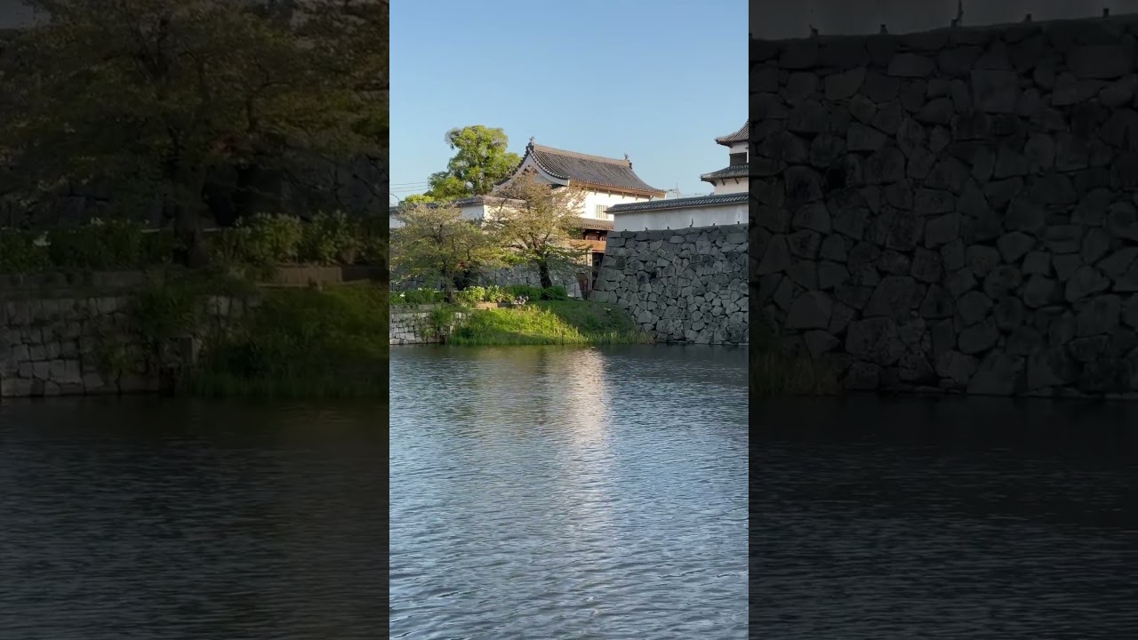 YouTube Short thumbnail