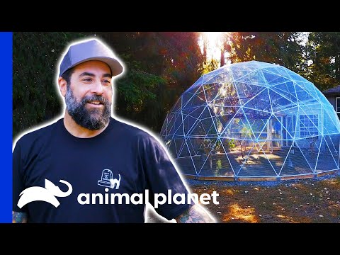 Antonio Builds A Flying Space For 23 Rescued Birds | Animal Cribs