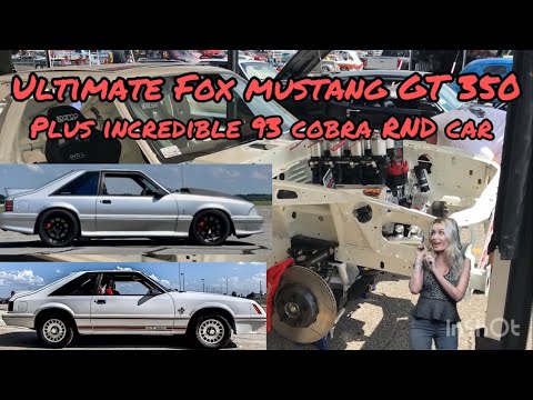 ULTIMATE MUSTANG GT350 Fox Body Build plus 1993 R&D Cobra with Ride Tech SLA & IRS suspension