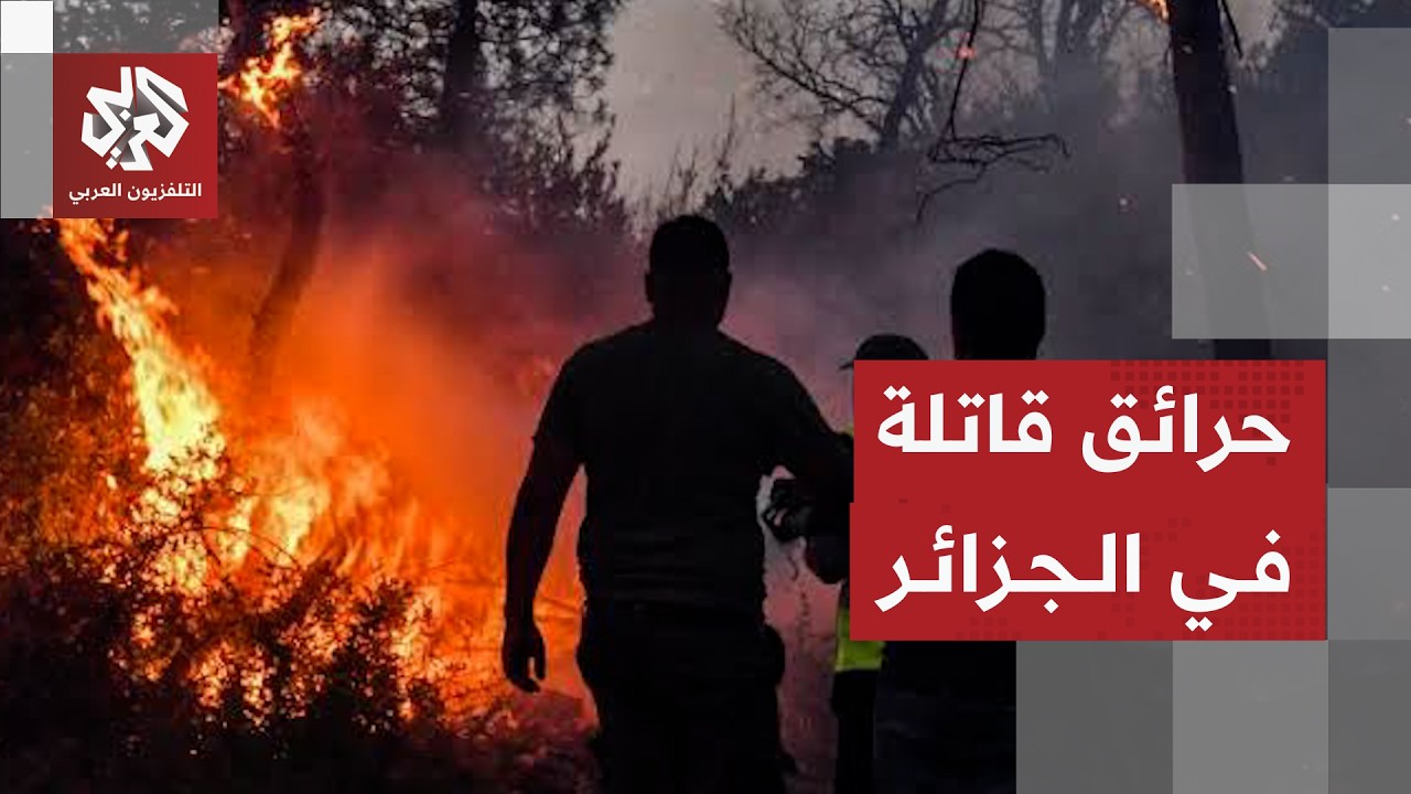 حرائق الجزائر تخلف 12 حالة وفاة وجهود من السلطات للسيطرة عليها