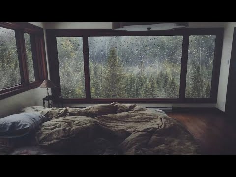 To be able to sleep in this one room when it rains in the middle of the misty forest it is wonderful