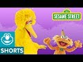 Sesame Street Big Bird Asks Zoe A Question