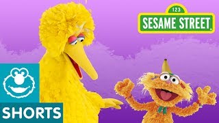 Sesame Street: Big Bird Asks Zoe A Question