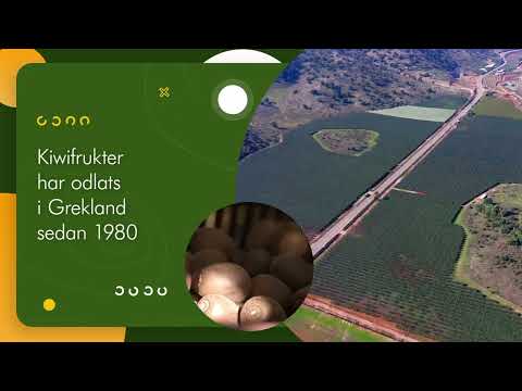 Go Greener: Kiwi - Kiwifrukt, Dess historia och odling (SE)