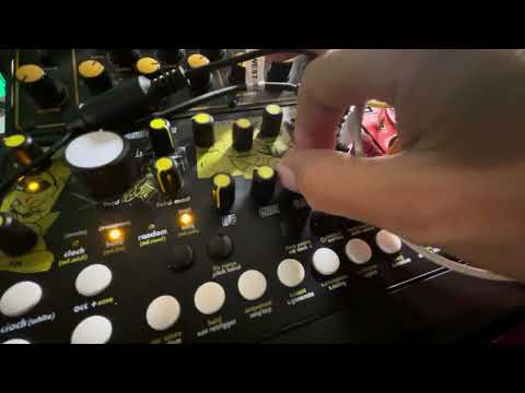 Behringer Brains - Virtual Analog. synth demo...