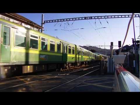 8100 Class Dart trains at Bray station