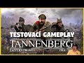 Hry na PC Tannenberg