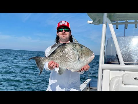 Fishing ARTIFICIAL REEFS For GIANT GRAY TRIGGERFISH | A PB WAS BROKE