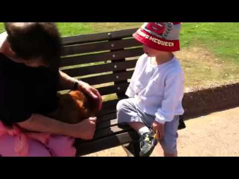 David befriends dog Netanya/beach