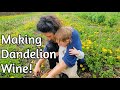 Dandelion Wine with Sasha - Part I