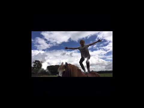 After school yard routine 😆💖🐴