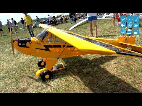 XXXL RC PIPER J-3 CLIPPED WING CUB 40% 1:2,5 & DH.82A TIGER MOTH G-ANLD 35.7% 1:2,8 AEROBATIC FLIGHT