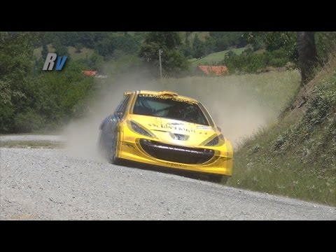 2015 Yeşil Bursa Rallisi / Ahmet Burkay - Bilge Ayan / Peugeot 207 S2000