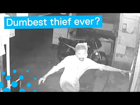 13 Vidéos De Voleurs Les Plus Drôles Jamais Enregistrées !