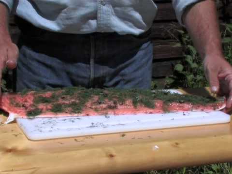 Fische beizen - Gravad Lax & Co. - von etheonTV