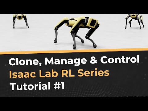 Interactive Scene - Isaac Lab Tutorial 1 (Reinforcement Learning)