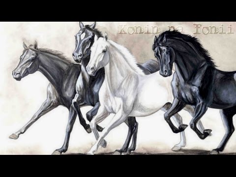 Konin na fonii® - Kapust, PraktycznieNiemożliwi, Mykson, NZ, OKaeN, ŁysyK, KuRa i Tipix