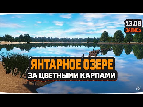 Фото В ожидании редких Карпов, рыбалка на Янтарном озере — Русская Рыбалка 4