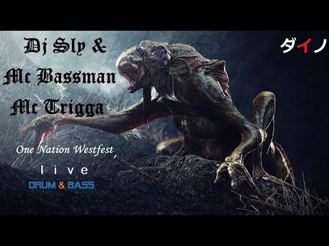 DJ Sly & MC's Bassman,Trigga - One Nation Westfestドラムベース