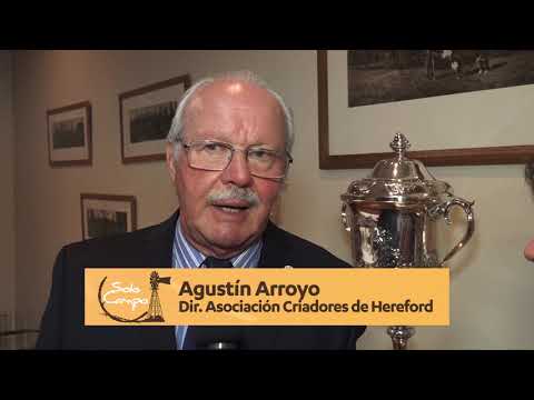 Agustín Arroyo - Director Ejecutico Asociación Argentina Criadores de Hereford