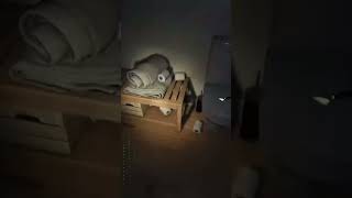 ビビりあるある【ホラゲーの視点ガックガクになる】 #ゲーム実況 #shorts