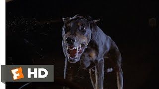 Fletch (5/10) Movie CLIP - The Doberman (1985) HD