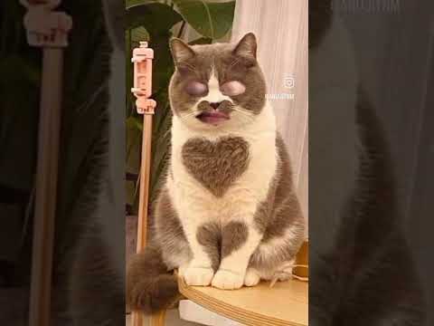 #anujit #contentcreator #amazing #funnyvideo 🧐🧐🧐🧐💕💕💕💕💕❣️❣️❣️