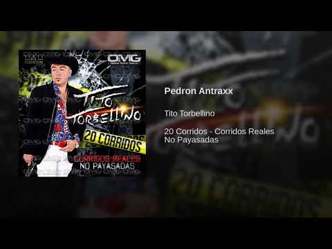 Tito Torbellino - Pedron Antraxx