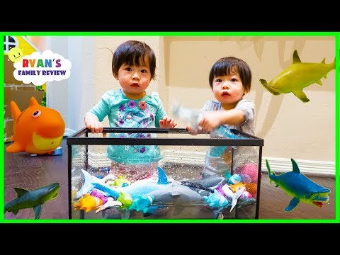 Emma and Kate Learn about Sharks and colors while singing Baby Shark Song