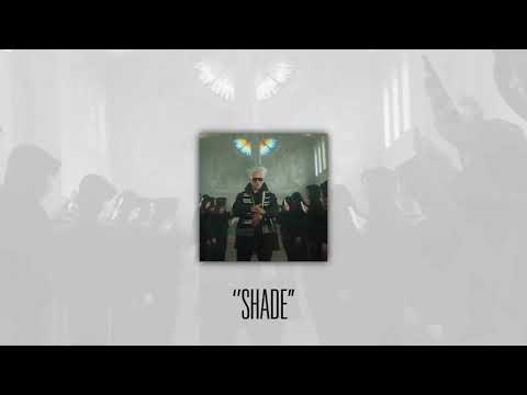 Paluch x Kobik - type beat "Shade" (Prod. SHZ)