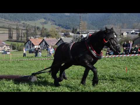 VIDEO: II.ročník Furmanské preteky v Martinčeku