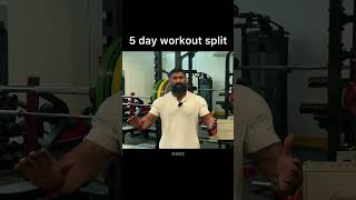 5 day workout split - PPLUL split #workout #gym #muscle #shorts