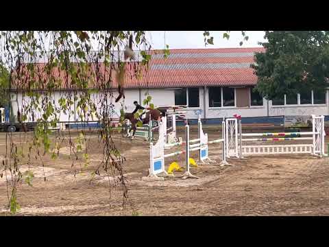 L Stilspringen Worms-Abenheim 2022 2. Platz