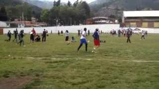 Road to pamplona. Ekho!!