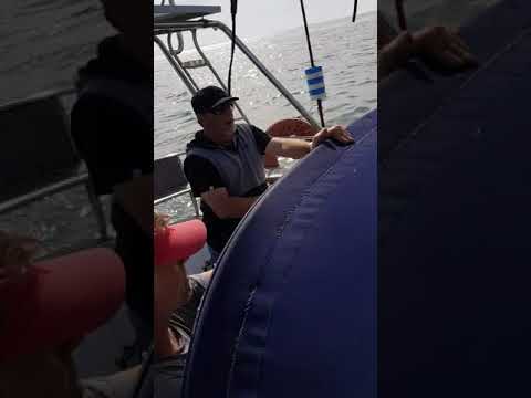 Shearwater 39 test sail in very light conditions.  It's a beauty.