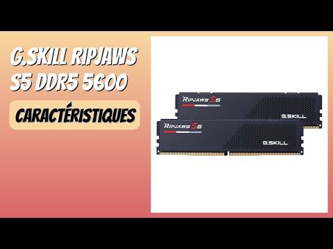 AVIS (2026) : G.SKILL RipJaws S5 DDR5 5600. DÉTAILS
